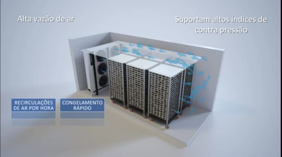 WhatsApp Image 2023-12-31 at 11.26.19 (1)