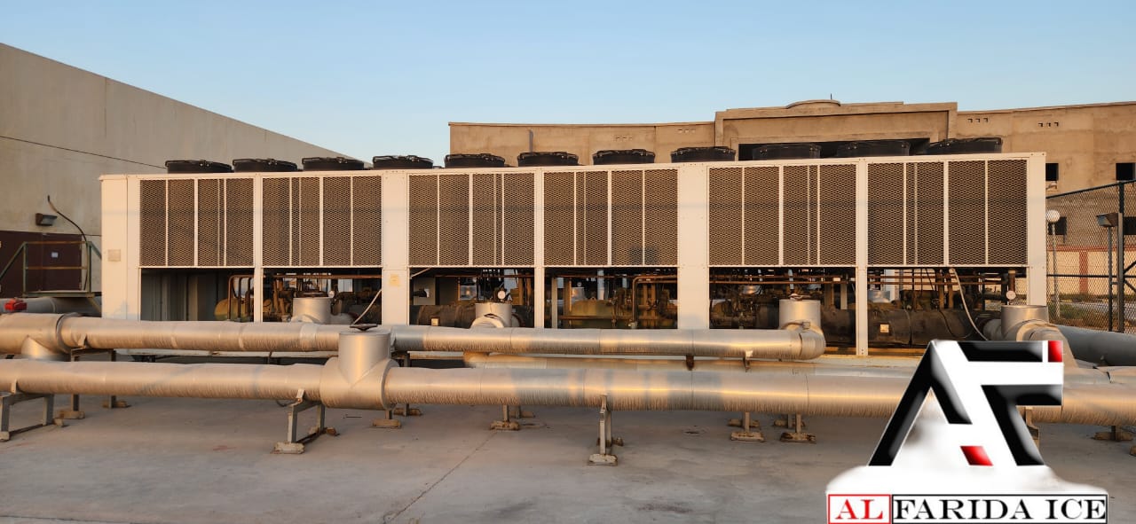 WhatsApp Image 2023-12-31 at 11.26.24 (3)