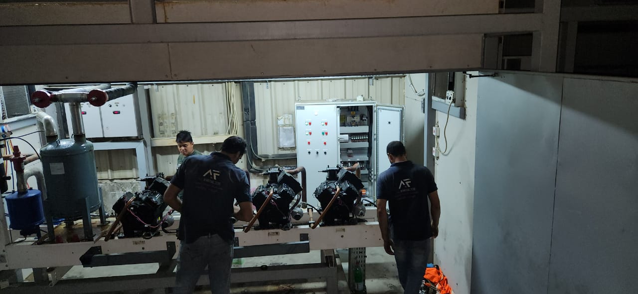 WhatsApp Image 2023-12-31 at 11.26.26 (3)