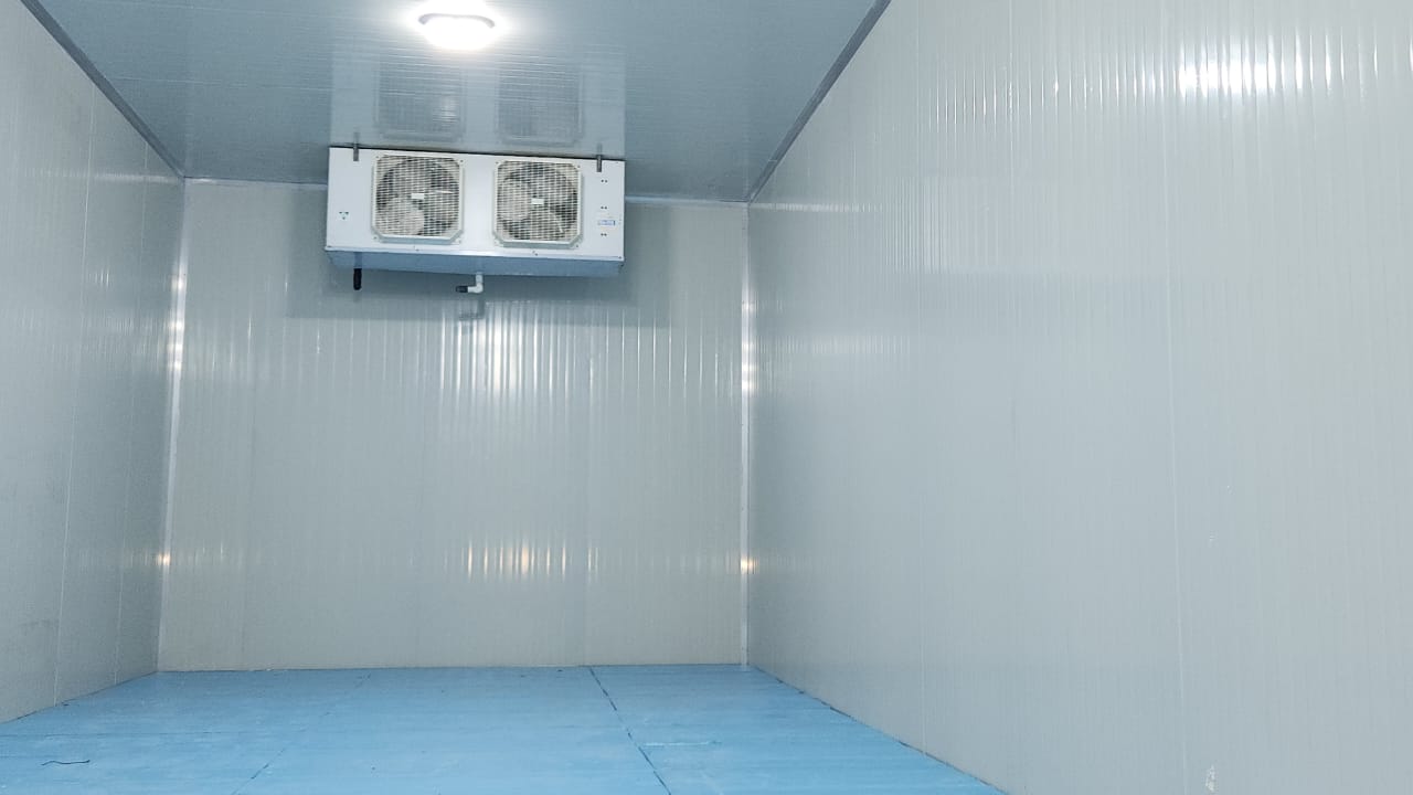 WhatsApp Image 2023-12-31 at 11.26.35 (1)