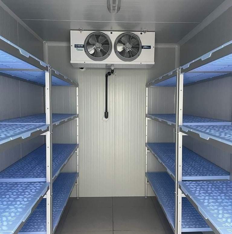 WhatsApp Image 2023-12-31 at 11.26.38